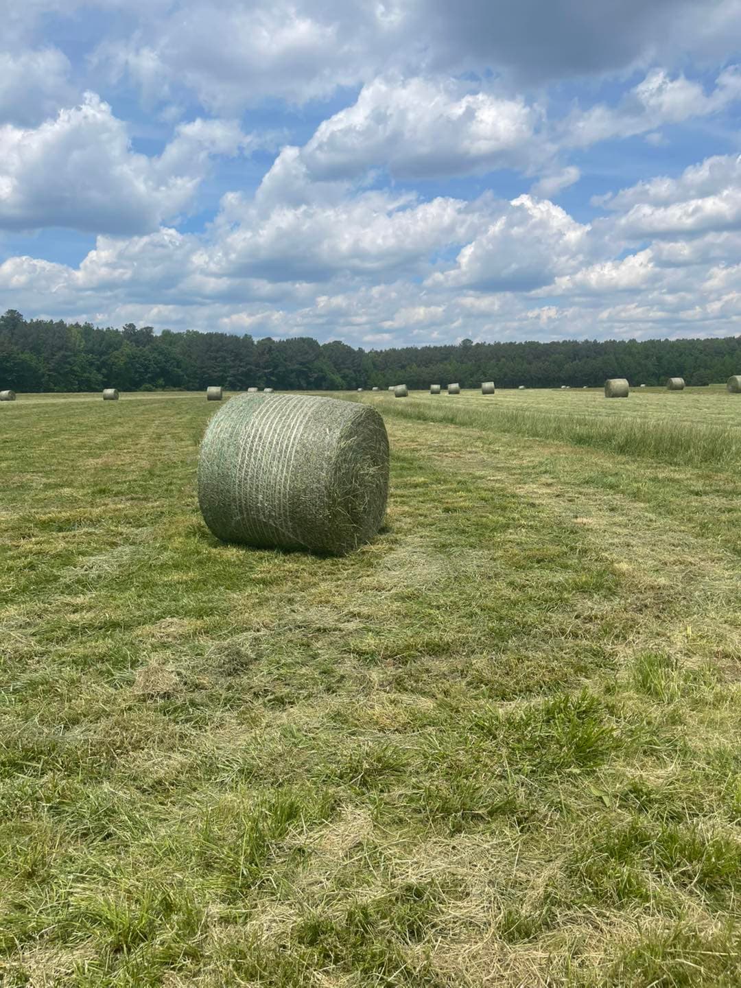 Open farm fields at Fanclare Farms in Wakefield, Virginia