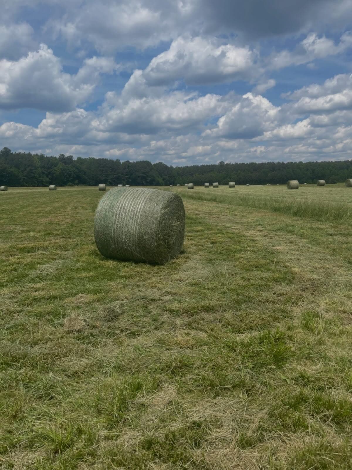 The Jones family farm in Wakefield, Virginia — five generations of farming land at Fanclare Farms